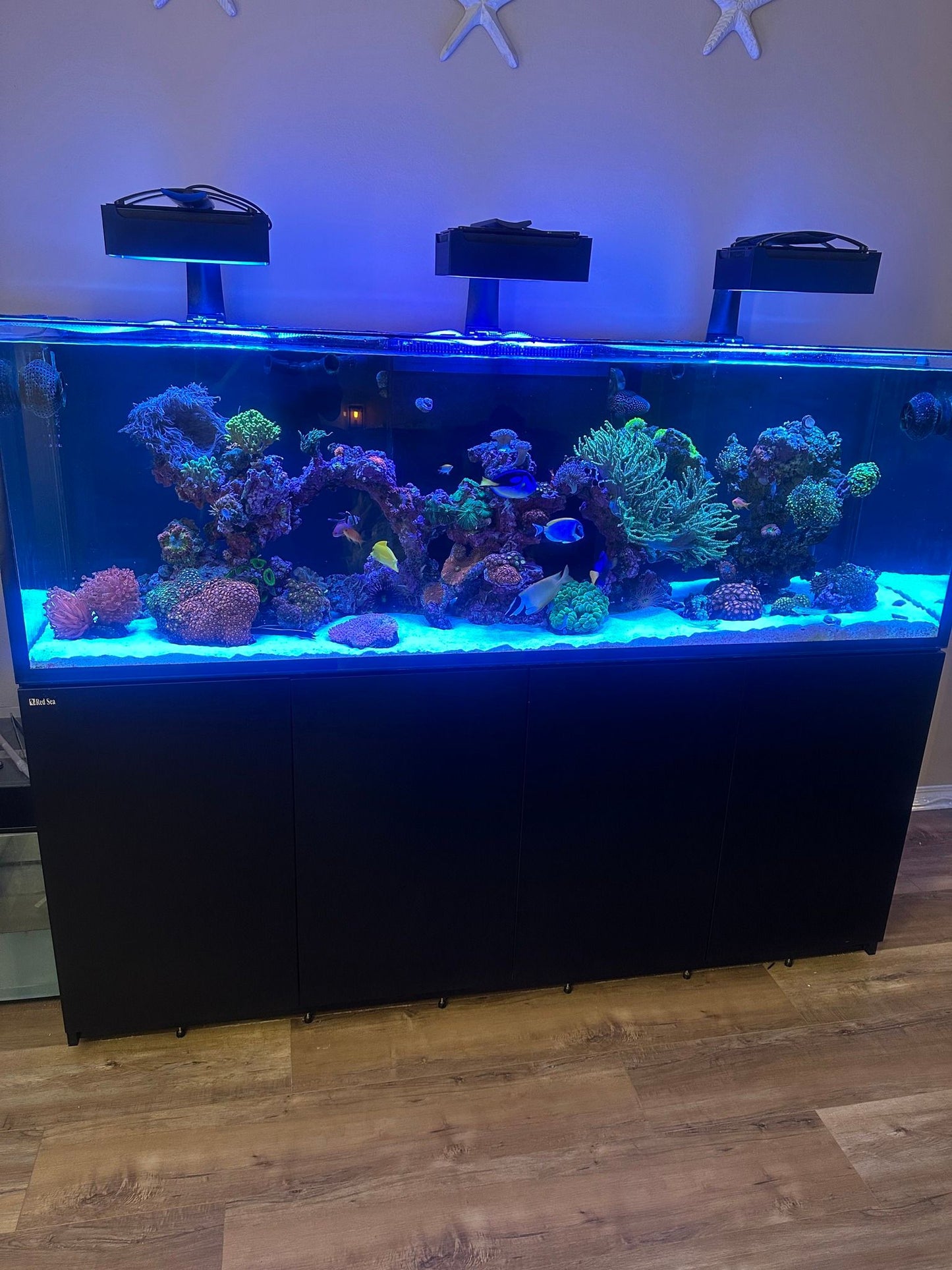 EcoTech Marine Radion XR30 Light Shade | G5 & G6